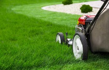 a lawn mower on a green lawn